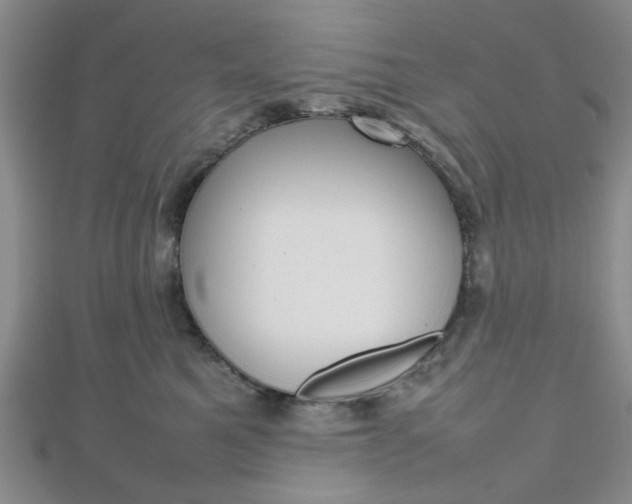 X0000112810521200908210941