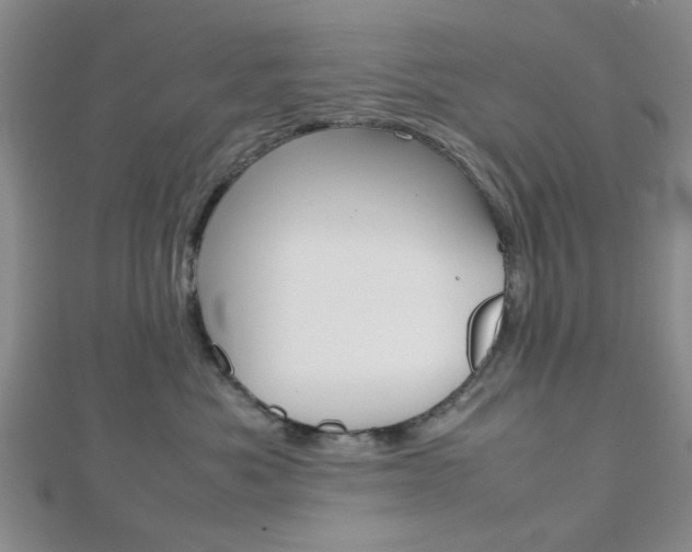 X0000112810525200908210941