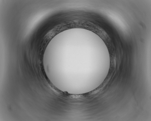 X0000112810526200908210941