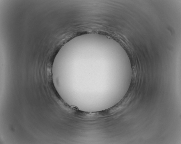 X0000112810527200908210941