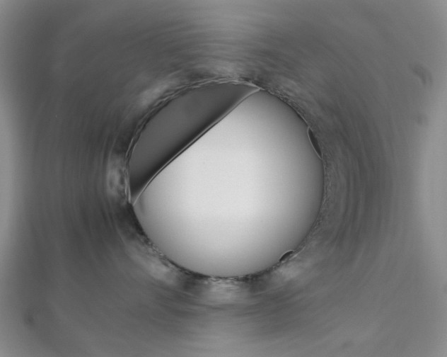 X0000112810528200908210941