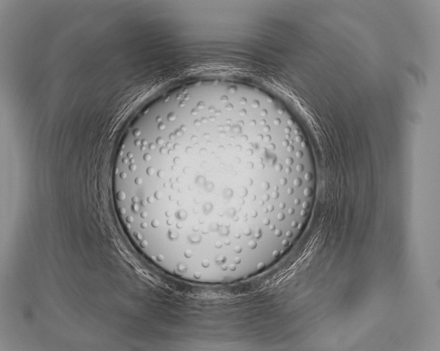X0000112810529200908210940