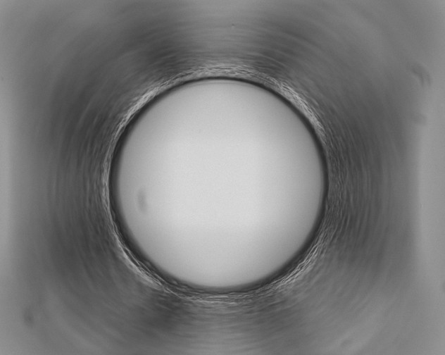 X0000112810530200908210940