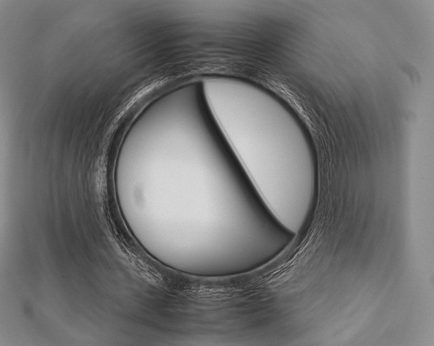 X0000112810531200908210940