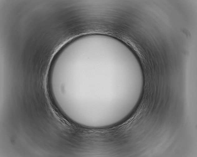 X0000112810532200908210940