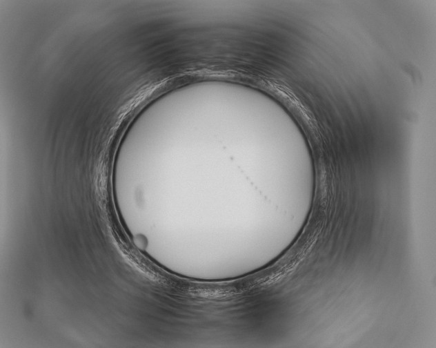 X0000112810533200908210940