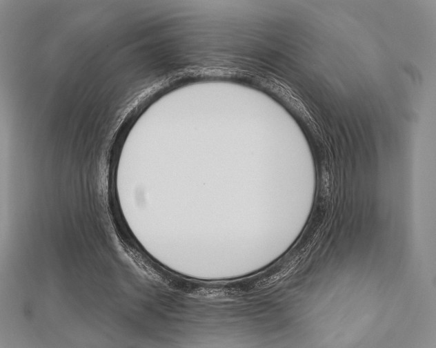 X0000112810534200908210940