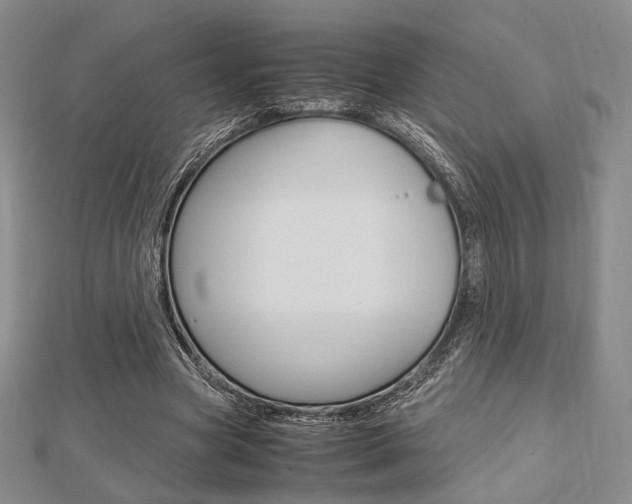 X0000112810537200908210940