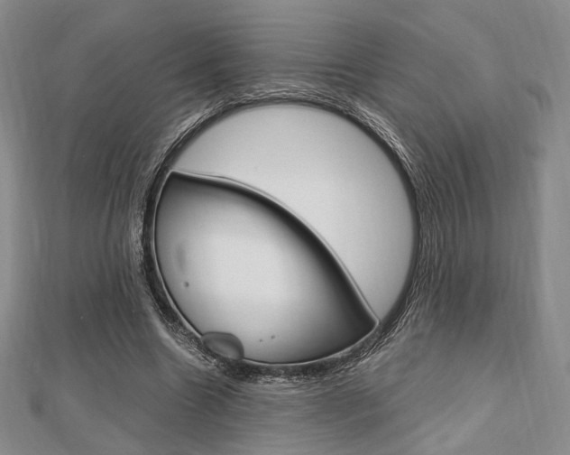 X0000112810538200908210940
