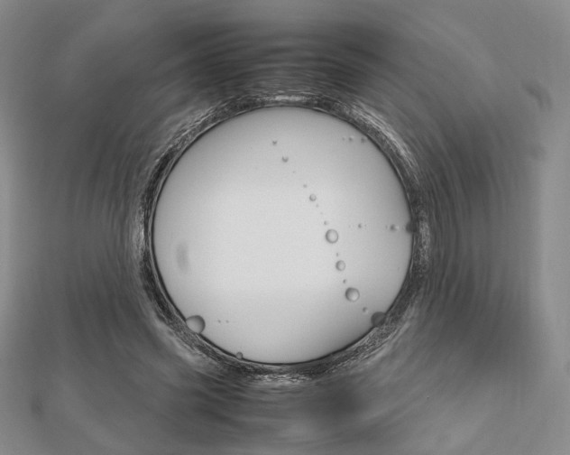 X0000112810541200908210940