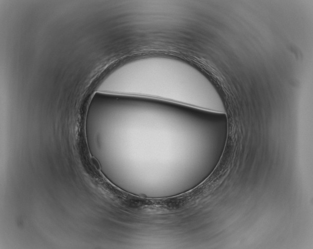 X0000112810544200908210940