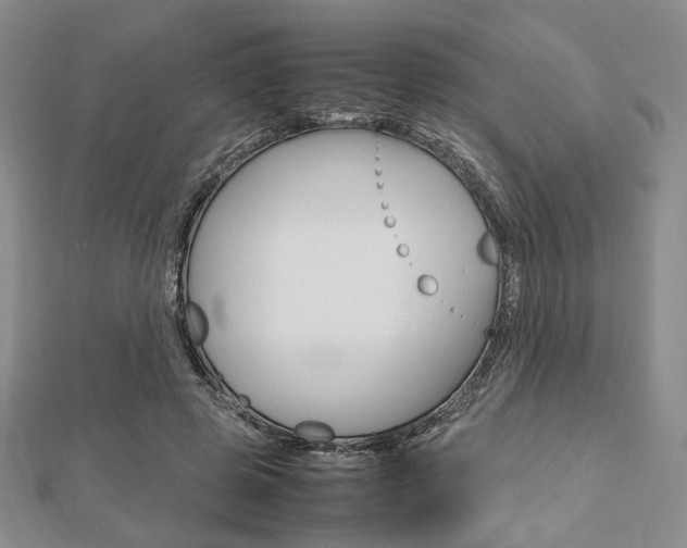 X0000112810545200908210940