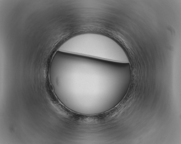 X0000112810546200908210940