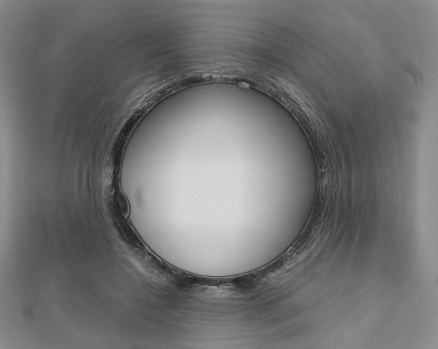 X0000112810548200908210940