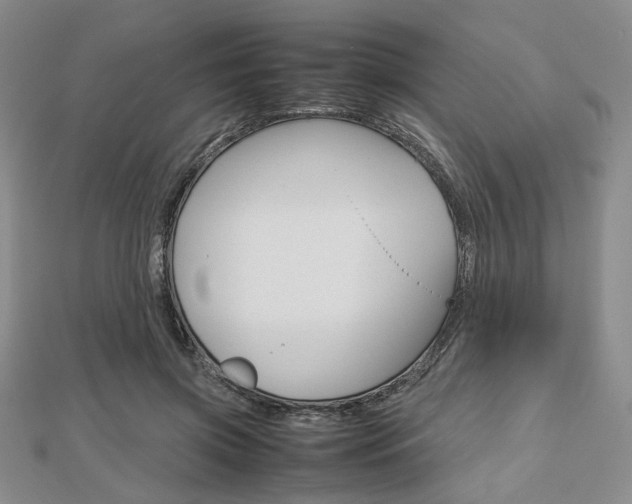 X0000112810549200908210940