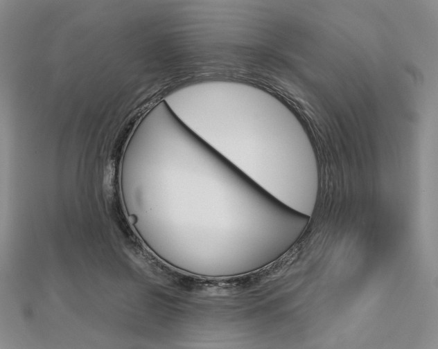 X0000112810550200908210940