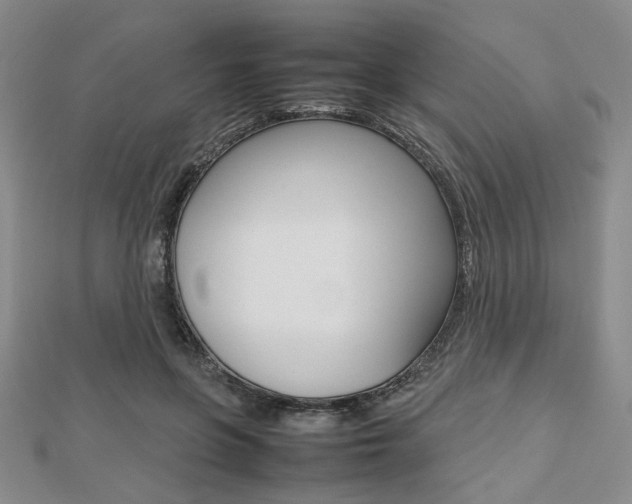 X0000112810551200908210940
