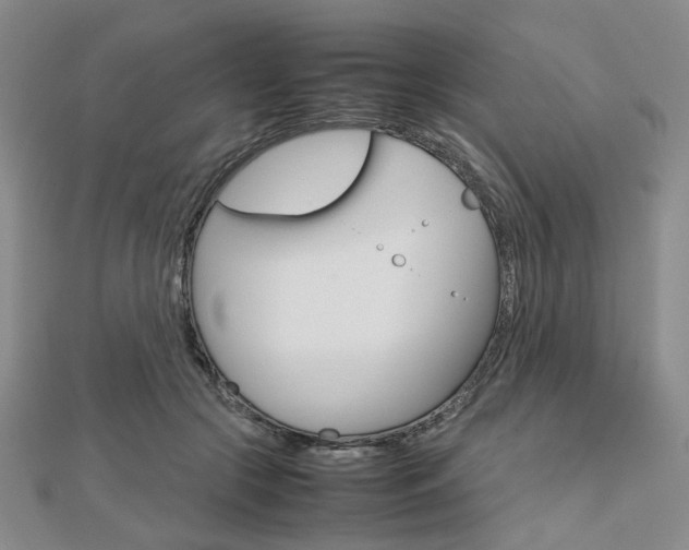 X0000112810553200908210940