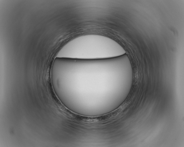 X0000112810554200908210940