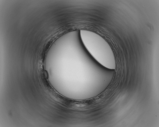 X0000112810555200908210940