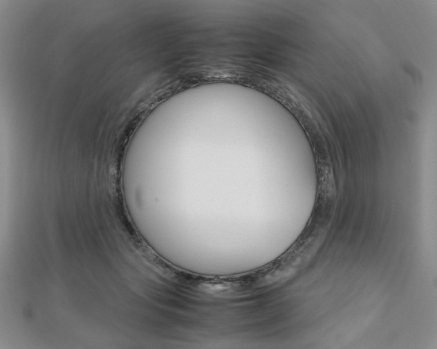 X0000112810557200908210940