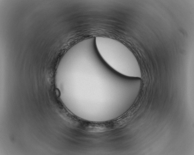 X0000112810559200908210940