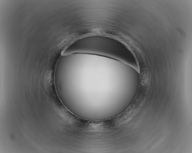 X0000112810560200908210940