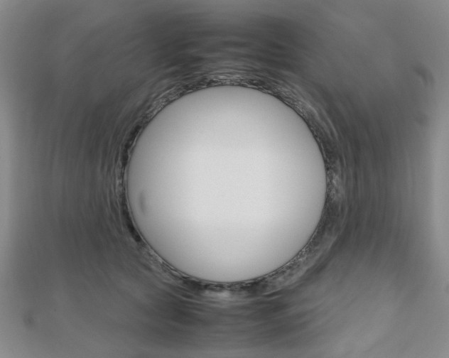 X0000112810561200908210940