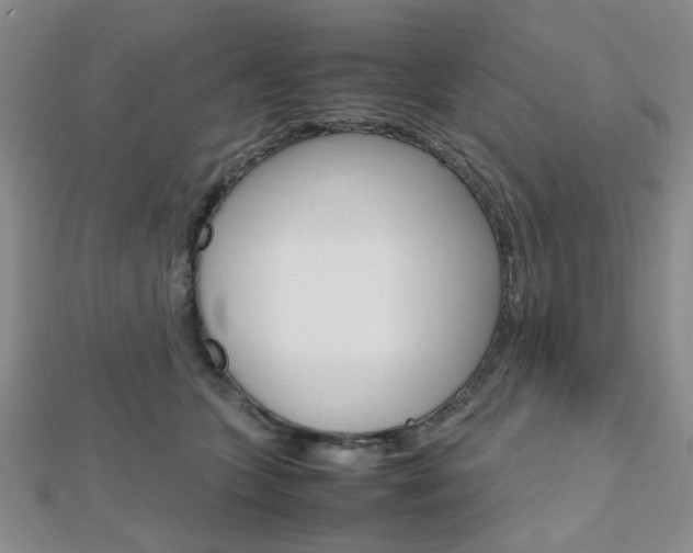 X0000112810563200908210941