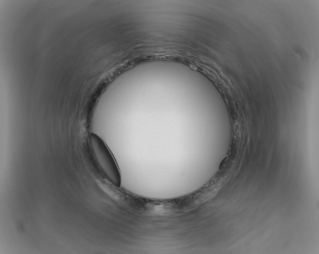 X0000112810564200908210941