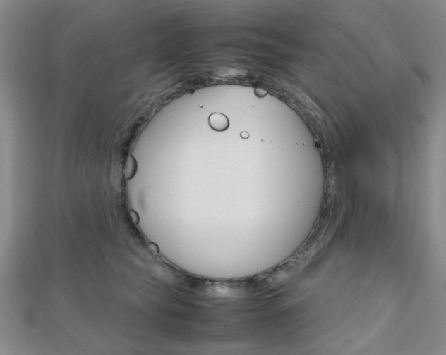 X0000112810565200908210941