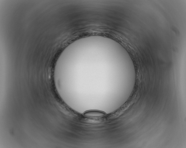 X0000112810567200908210941