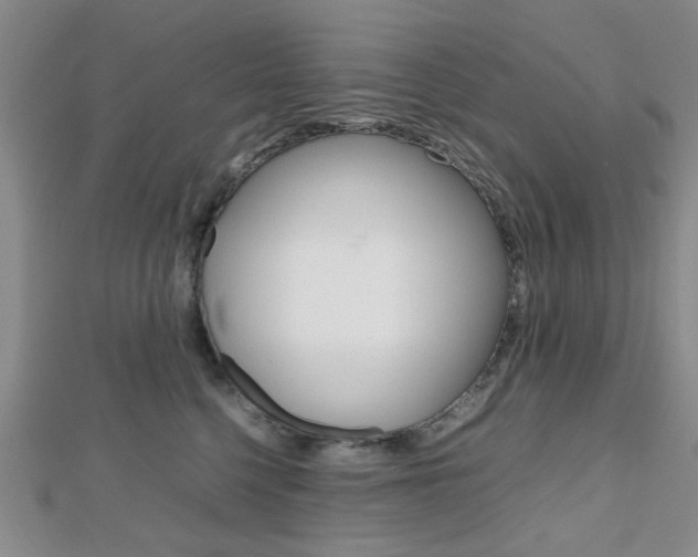 X0000112810568200908210941