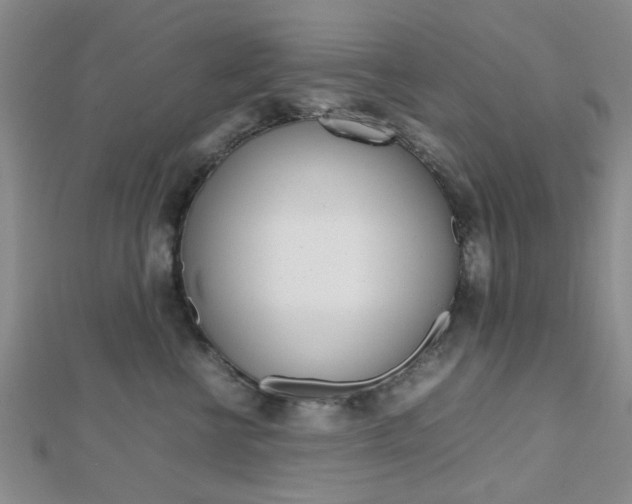 X0000112810570200908210941