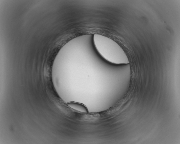 X0000112810571200908210941