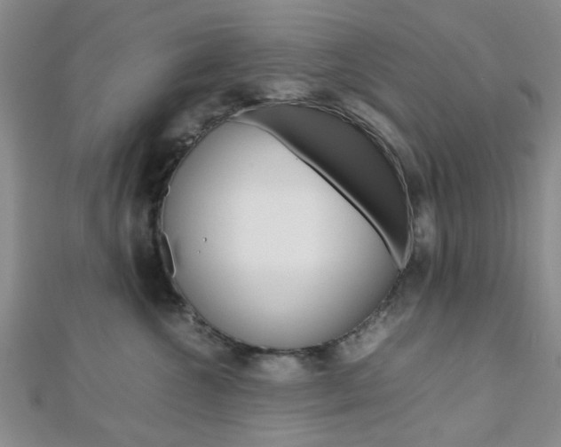 X0000112810572200908210941