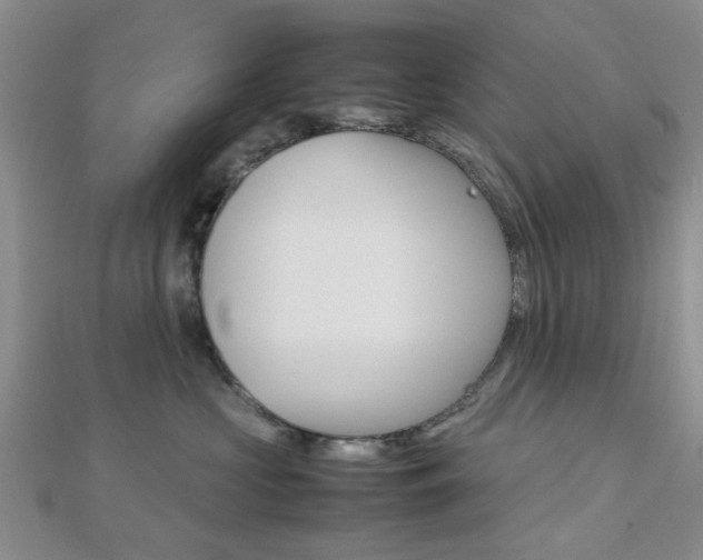 X0000112810573200908210941