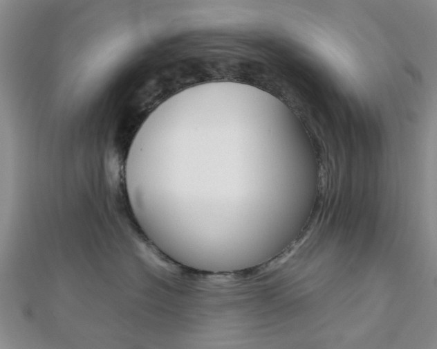 X0000112810574200908210941