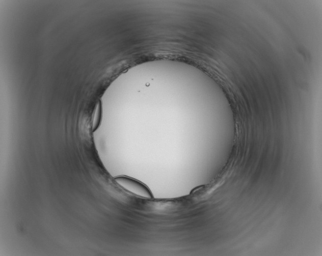 X0000112810575200908210941