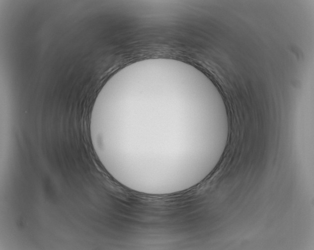 X0000112810576200908210941