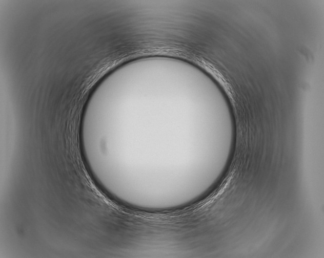 X0000112810577200908210940