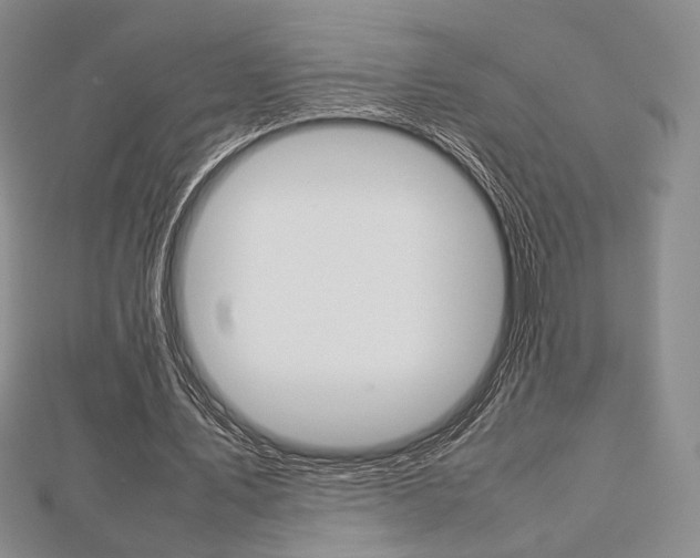 X0000112810579200908210940