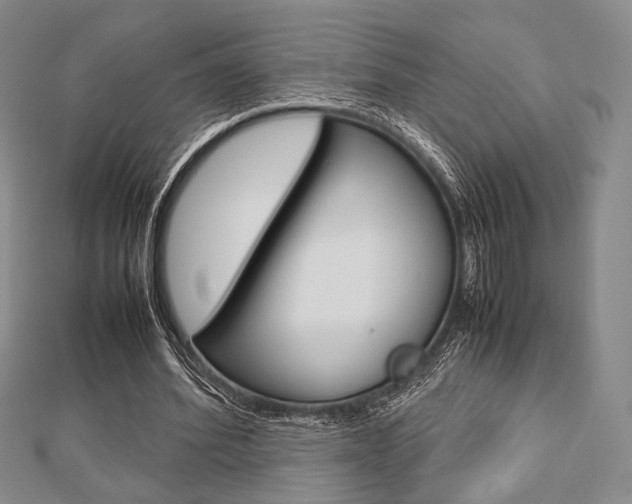 X0000112810580200908210940