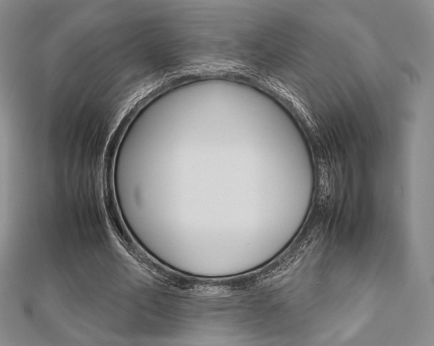 X0000112810582200908210940