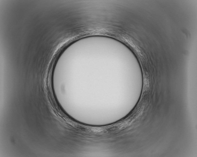 X0000112810583200908210940