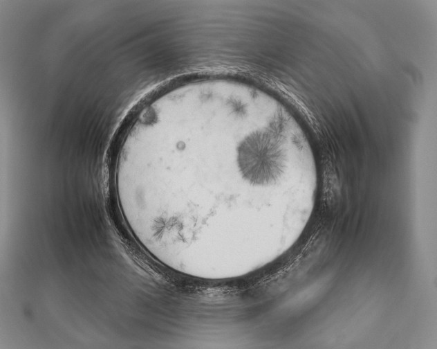 X0000112810584200908210940