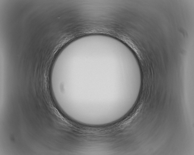 X0000112810585200908210940