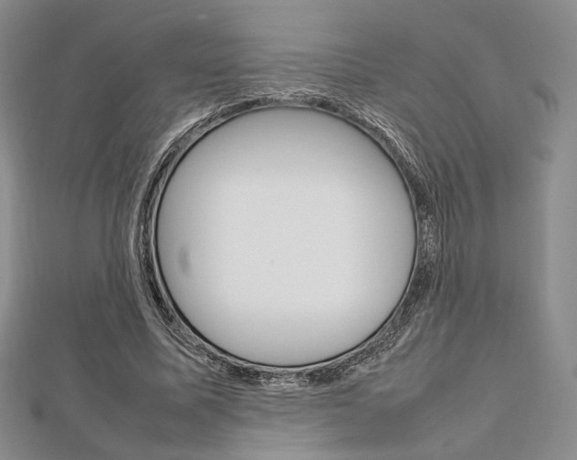 X0000112810587200908210940