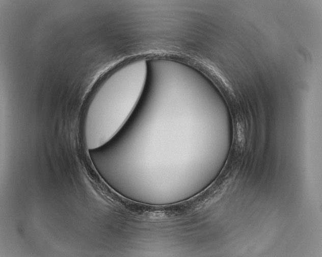 X0000112810588200908210940