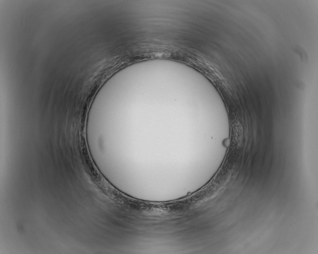 X0000112810594200908210940
